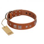 "Egyptian Gifts" Handmade FDT Artisan Tan Leather English Bull Terrier Collar with Chrome-plated Pyramids