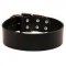 Extra Wide Leather Bull Terrier Collar for Every Day Use