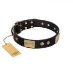 "Antique Gloss" FDT Artisan Black Leather English Bull Terrier Collar with Bronze-like Plates and Small Studs