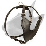 Heavy Duty Adjustable Leather Bull Terrier Harness for Training