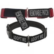 d90db19e13d7110b9e46ad25db6d9033.image.280x280