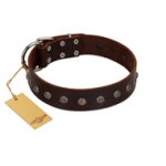 "Graceful Classic" Mod FDT Artisan Brown Leather English Bull Terrier Collar