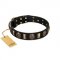 "Sea Romance" FDT Artisan Black Leather English Bull Terrier Collar with Plates and Skulls