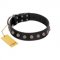 "Bizarre Affection" Designer Handmade FDT Artisan Black Leather English Bull Terrier Collar