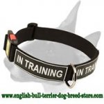 Any Weather Nylon Bull Terrier Collar For Training