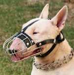 Lightweight Everyday Wire Cage Bull Terrier Muzzle