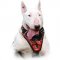 Leather Bull Terrier Harness Hand-painted with flames