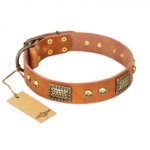 "Saucy Nature" FDT Artisan Tan Leather English Bull Terrier Collar with Old Bronze Look Plates and Skulls