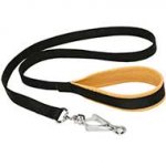 Nylon English Bull Terrier Leash With Supported Soft Material on The Handle