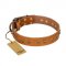 "Autumn Story" FDT Artisan Leather English Bull Terrier Collar with Old Bronze Look Studs
