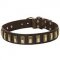 Remarkable Design Leather Bull Terrier Collar with Brass Plates