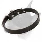Buckled Leather Bull Terrier Collar for Everyday Activities