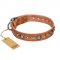 "Daily Chic" FDT Artisan Tan Leather English Bull Terrier Collar with Decorations