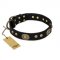 "High Fashion" FDT Artisan Studded with Plates Black Leather English Bull Terrier Collar