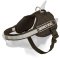 All-Weather Training Nylon Bull Terrier Harness for Police Work
