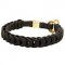 Stylish Braided Leather Bull Terrier Choke Collar with Quick Release Buckle