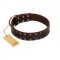 "Star Party" Handmade FDT Artisan Brown Leather English Bull Terrier Collar with Silver-Like Studs