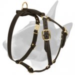 Adjustable Tracking Leather Bull Terrier Harness