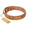 "Saucy Nature" FDT Artisan Tan Leather English Bull Terrier Collar with Old Bronze Look Plates and Skulls
