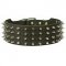 Leather Bull Terrier Collar with 4 Rows of Spikes