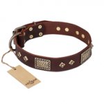 "Loving Owner" FDT Artisan Decorated Leather English Bull Terrier Collar with Plates and Studs