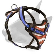 Hand-Painted Soft Padded Leather Bull Terrier Harness