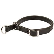 Adjustable Leather Bull Terrier Slip Collar Adjustable Leather Bull Terrier Slip Collar