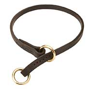 Leather Bull Terrier Choke Collar for Effective Training