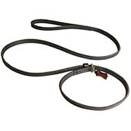 Multifunctional Fast Handling Leather Bull Terrier Leash Choke Collar Combo
