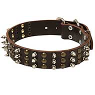 Cool Spiked and Studded Leather Bull Terrier Collar