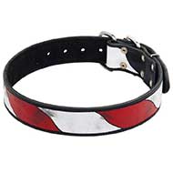 American Pride Leather Bull Terrier Collar for Daily Walks American Pride Leather Bull Terrier Collar for Daily Walks