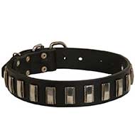 Designer Leather Bull Terrier Collar Decorated with Nickel Plates Designer Leather Bull Terrier Collar Decorated with Nickel Plates