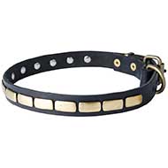 Decorated Leather Bull Terrier Collar with Brass Plates
