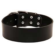 Extra Wide Leather Bull Terrier Collar for Every Day Use