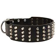 Extra Wide Leather Bull Terrier Collar with Nickel Plated Studs