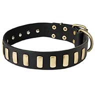 Fashionable Wide Leather Bull Terrier Collar with Brass Plates