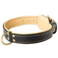 Handmade Padded Leather Bull Terrier Collar