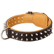 Nappa Padded Leather Bull Terrier Collar with Nickel Plated Spikes
