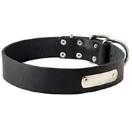 Durable Leather Bull Terrier Collar Equipped With ID Tag Durable Leather Bull Terrier Collar Equipped With ID Tag