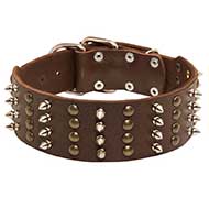 Extra Wide Designer Leather Bull Terrier Collar