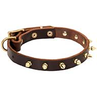 Royal Leather Bull Terrier Collar for Walking