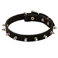Classy Spiked Leather Bull Terrier Collar for Daily Walking Classy Spiked Leather Bull Terrier Collar for Daily Walking