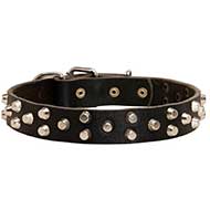 Studded Leather Bull Terrier Collar For Daily Activities