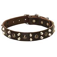 Studded Design Thin Leather Bull Terrier Collar