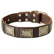 Wide Vintage Design Bull Terrier Collar with Brass Plates