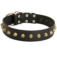 Reliable Leather Bull Terrier Collar with Brass Pyramids