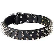 Wide Spiked Design Leather Bull Terrier Collar