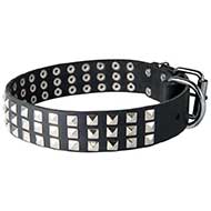 Gorgeous Wide Leather Bull Terrier Collar With Fancy Studs