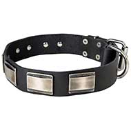 Exceptional Leather Bull Terrier Collar For Everyday Use