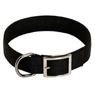 All Weather Classic Nylon Bull Terrier Collar